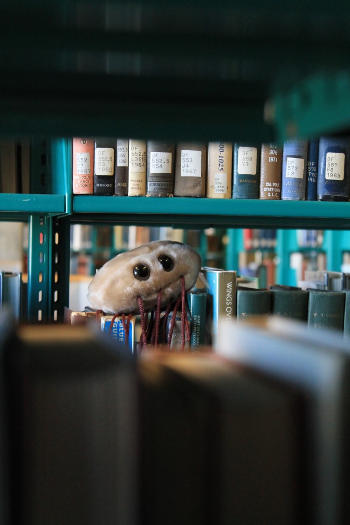 A photo of a giant microbe plush of an E. coli cell, sitting on top of a shelf of books.