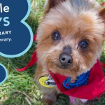 Slider_dogs_Take5_winter16