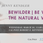 data_studio_j_kendler_slider_final