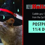 Cats postponed slider-01-01